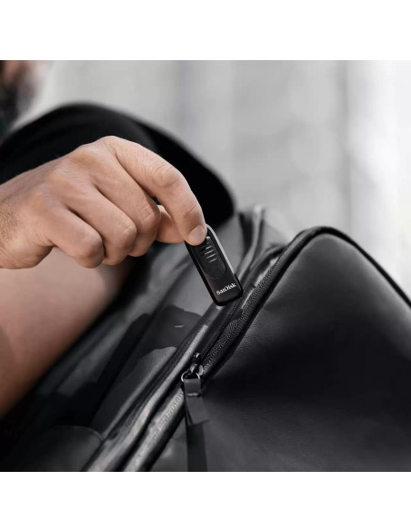 MEMORY DRIVE FLASH USB-C 32GB/SDCZ480-032G-G46 SANDISK