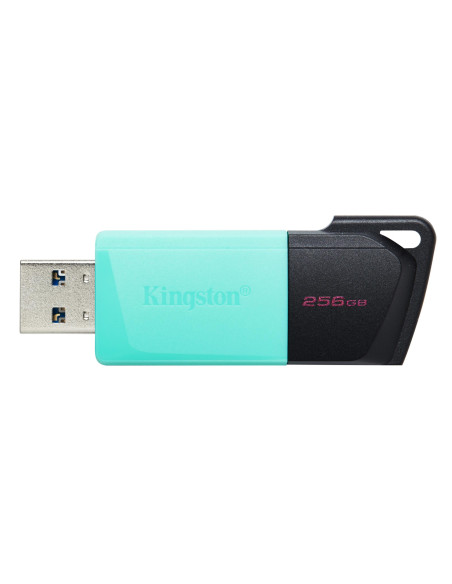 MEMORY DRIVE FLASH USB3.2/256GB DTXM/256GB KINGSTON