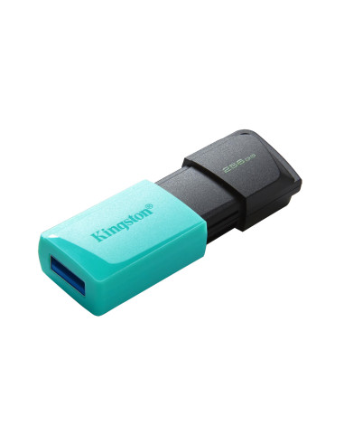 MEMORY DRIVE FLASH USB3.2/256GB DTXM/256GB KINGSTON