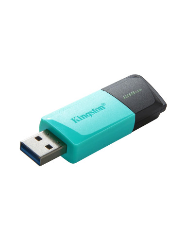 MEMORY DRIVE FLASH USB3.2/256GB DTXM/256GB KINGSTON