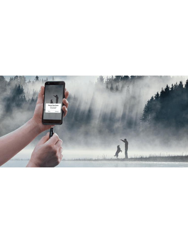 MEMORY DRIVE FLASH USB-C 256GB/SDDDC3-256G-G46 SANDISK