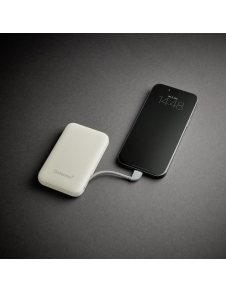POWER BANK USB 10000MAH/BEIGE S10000 7333031 INTENSO