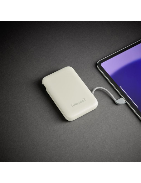 POWER BANK USB 10000MAH/BEIGE S10000 7333031 INTENSO