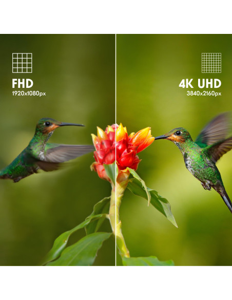 TV Set, THOMSON, 43", 4K/Smart, QLED, 3840x2160, Google TV, White, 43UG4S14W