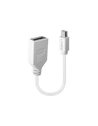 ADAPTER MINI DP TO DP/0.2M 41021 LINDY
