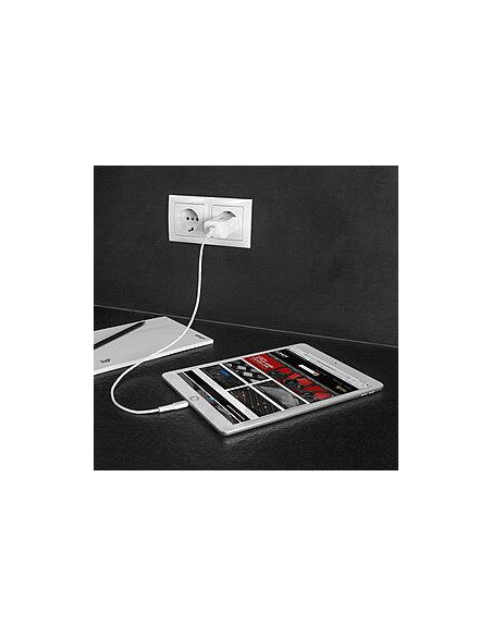 CHARGER WALL 18W/73412 LINDY