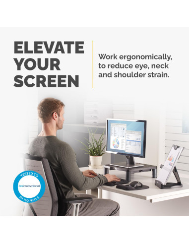 MONITOR ACC RISER STANDARD/GRAPHITE 9169301 FELLOWES