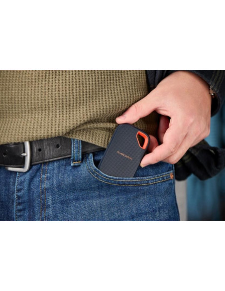 External SSD, SANDISK, Read speed 2000 MB/s, 4000 GB, SDSSDE70-4T00-G25