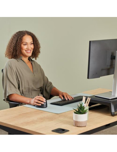 MOUSE USB OPTICAL WRL VERTICAL/ERGO+ M RT 100143581 FELLOWES