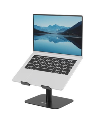 NB ACC DESK STAND/BLACK 100138881 FELLOWES