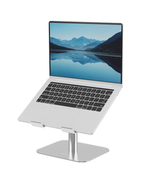 NB ACC DESK STAND/SILVER 100138880 FELLOWES