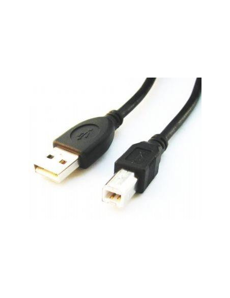 CABLE USB2 AM-BM 1.8M/CCP-USB2-AMBM-6 GEMBIRD