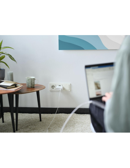 MOBILE CHARGER WALL MAXO 100W/USB-C WHITE 25140 TRUST