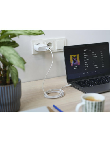 MOBILE CHARGER WALL MAXO 100W/USB-C WHITE 25140 TRUST