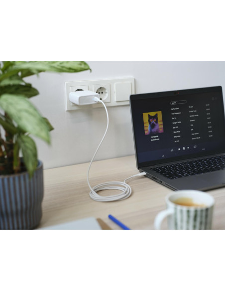 MOBILE CHARGER WALL MAXO 100W/USB-C WHITE 25140 TRUST