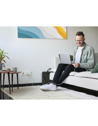 MOBILE CHARGER WALL MAXO 100W/USB-C WHITE 25140 TRUST