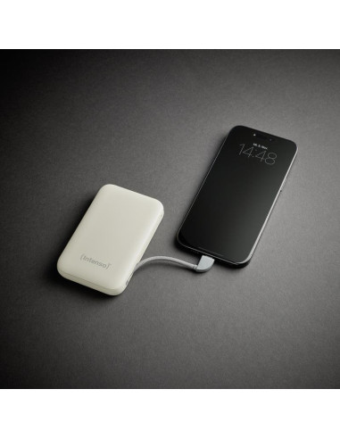 POWER BANK USB 10000MAH/BEIGE S10000 7333031 INTENSO