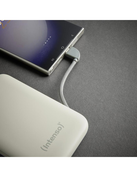 POWER BANK USB 10000MAH/BEIGE S10000 7333031 INTENSO