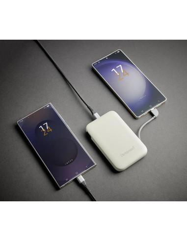 POWER BANK USB 10000MAH/BEIGE S10000 7333031 INTENSO