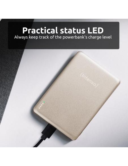 POWER BANK USB 5000MAH MAG/CHAMPAGNE 7344021 INTENSO