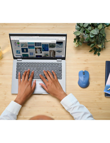 MOUSE USB OPTICAL WRL BLUE/MYDO 25041 TRUST