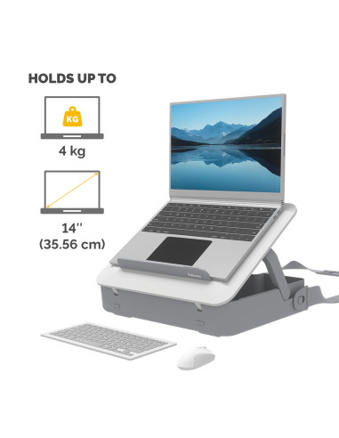 NB CASE BREYTA/WHITE 100016565 FELLOWES