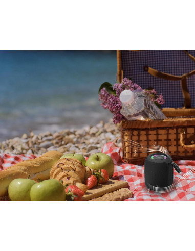 Portable Speaker, GEMBIRD, Black, Portable/Wireless, Bluetooth, SPK-BT-LED-05-BK