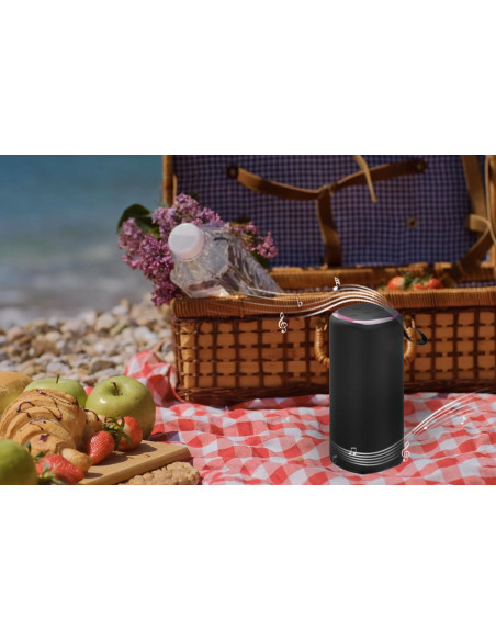 Portable Speaker, GEMBIRD, Black, Wireless, Bluetooth, SPK-BT-LED-08L