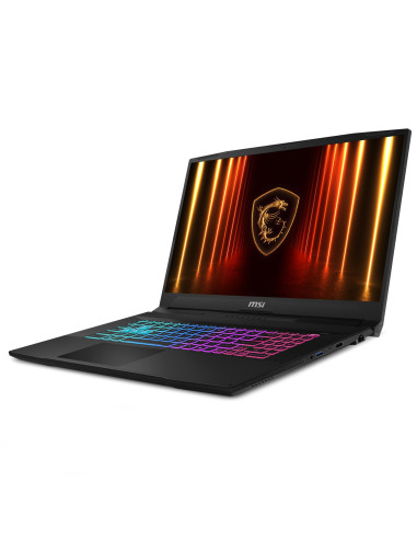 Notebook, MSI, Katana 17 HX B14WGK, CPU Intel CoreT i7, i7-14650HX, 17.3 ", 1920 x 1080 pixels, RAM 16 GB, DDR5-SDRAM, SSD 1000