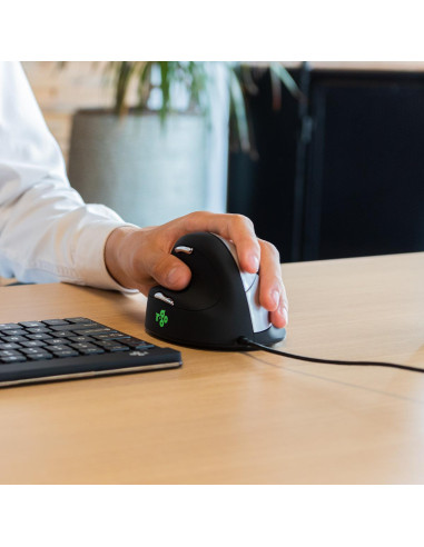 MOUSE USB OPTICAL BREAK/L. BLACK RGOHELE R-GO TOOLS