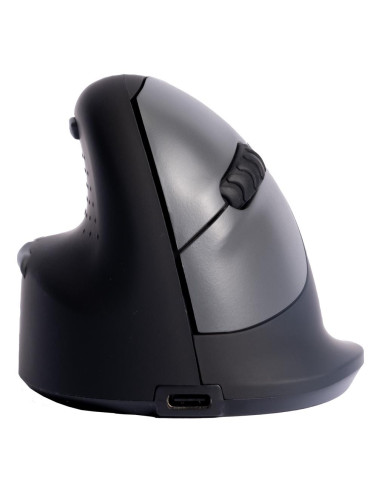 MOUSE USB OPTICAL WRL/L. BLK RGOHELELAWL R-GO TOOLS