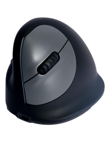MOUSE USB OPTICAL WRL/L. BLK RGOHELELAWL R-GO TOOLS