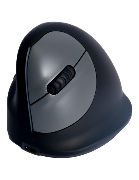 MOUSE USB OPTICAL WRL/L. BLK RGOHELELAWL R-GO TOOLS