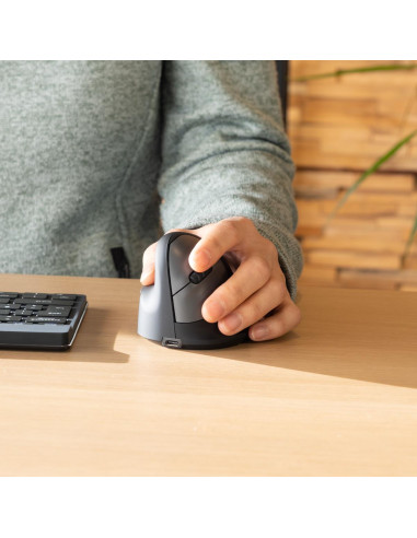 MOUSE USB OPTICAL WRL/LEFT BLACK RGOHEWLL R-GO TOOLS
