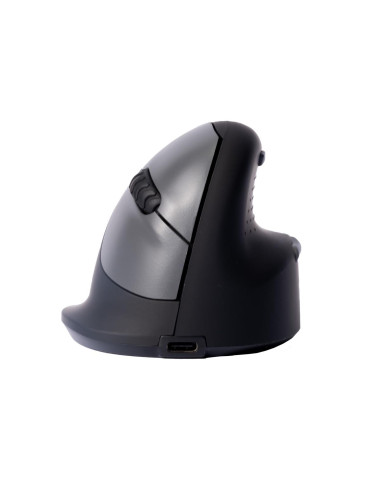 MOUSE USB OPTICAL BREAK/BLACK RGOHBRSWLBL R-GO TOOLS