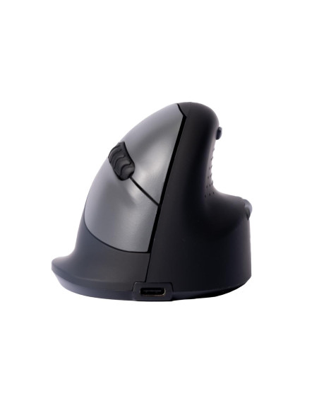 MOUSE USB OPTICAL BREAK/BLACK RGOHBRSWLBL R-GO TOOLS