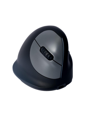 MOUSE USB OPTICAL BREAK/BLACK RGOHBRSWLBL R-GO TOOLS