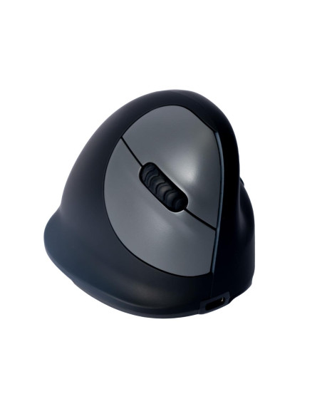 MOUSE USB OPTICAL BREAK/BLACK RGOHBRSWLBL R-GO TOOLS