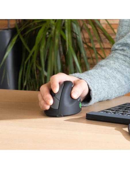 MOUSE USB OPTICAL BREAK/BLACK RGOHBRSWLBL R-GO TOOLS