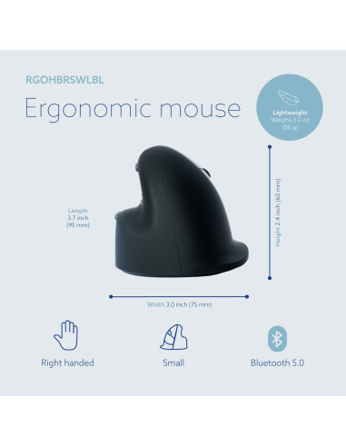 MOUSE USB OPTICAL BREAK/BLACK RGOHBRSWLBL R-GO TOOLS