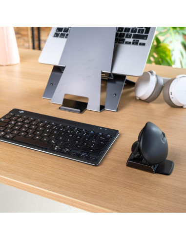 MOUSE USB OPTICAL WRL TWISTER/BLACK RGOTWBMWLBL R-GO TOOLS