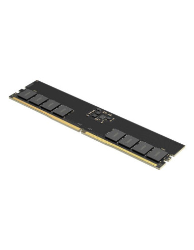MEMORY DIMM 32GB DDR5-5600/LD5U32G56C46ST-BGS LEXAR