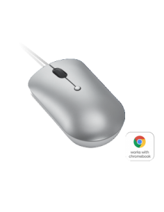 LENOVO 540 USB-C WIRED COMPACT MOUSE (CLOUD GREY)