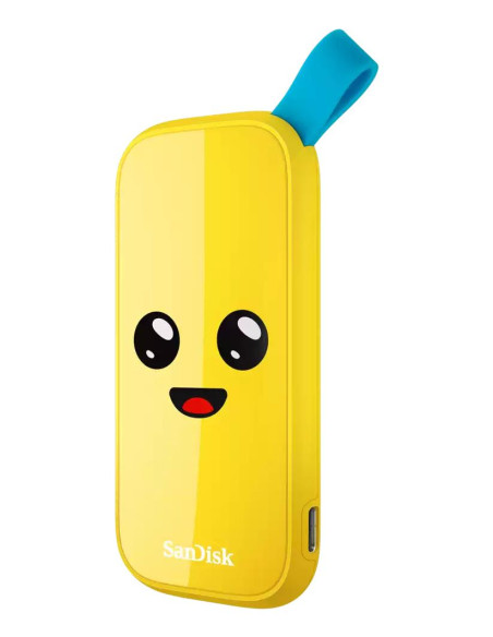 External SSD, SANDISK, 2TB, USB 3.2, Read speed 800 MBytes/sec, SDSSDE30-2T00-G25F