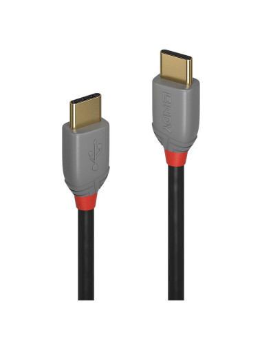 CABLE USB2 TYPE C 1M/ANTHRA 36871 LINDY