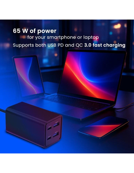 CHARGER USB UNIVERSAL 4P 65W/TA-UC-2A2C-PD65-01-BK GEMBIRD