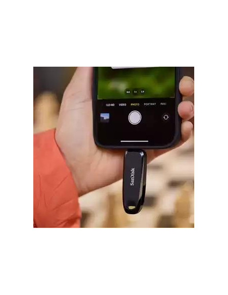 MEMORY DRIVE FLASH USB-C 256GB/SDDDC6-256G-G46 SANDISK