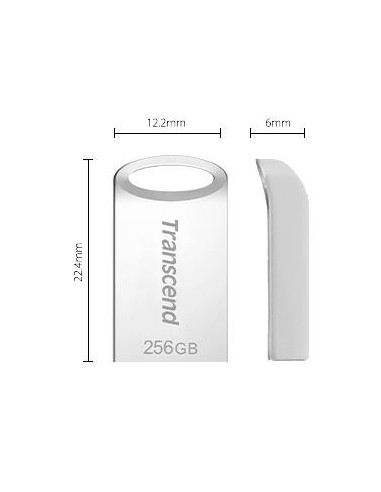 MEMORY DRIVE FLASH USB3.1/256GB TS256GJF710S TRANSCEND