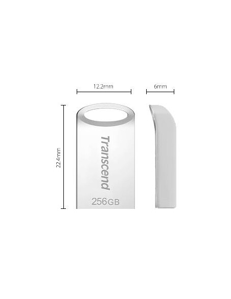 MEMORY DRIVE FLASH USB3.1/256GB TS256GJF710S TRANSCEND