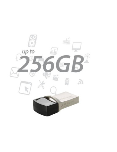 MEMORY DRIVE FLASH USB3.1/256GB TS256GJF890S TRANSCEND